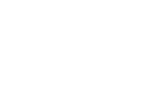 Apex Partner Logo