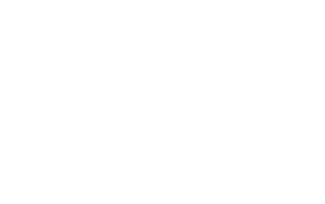 Flourish Partner Logo