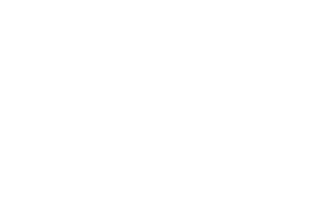 Jane Partner Logo