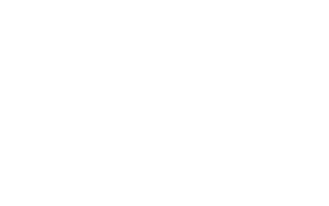 Posabit Partner Logo