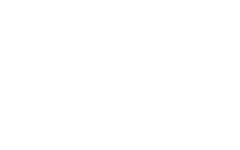 6 Bricks Dispensary Logo